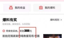 大连头条最新爆料,重大爆料揭示背后惊人真相！
